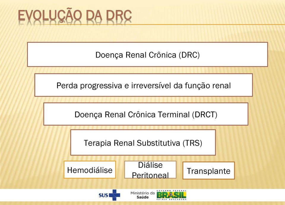 Renal Crônica Terminal (DRCT) Terapia Renal