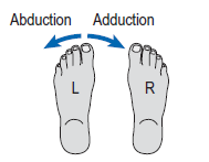 Figura 5 - Movimentos de dorsiflexão e plantarflexão (Palastanga, 2012). - Abdução e adução ocorrem no plano frontal: Abdução: Os dedos ficam a apontar para a parte externa do corpo.