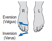 Figura 7 - Movimentos de inversão e eversão (Whittle, 2007).