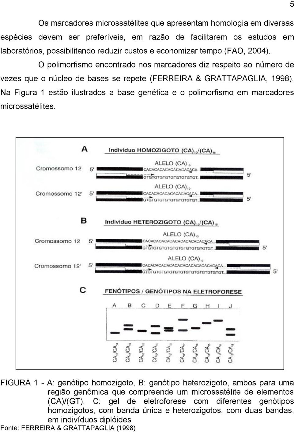 Na Figura 1 estão ilustrados a base genética e o polimorfismo em marcadores microssatélites.