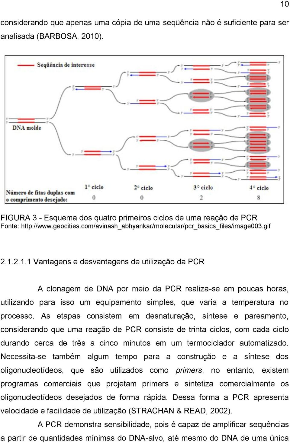 2.1.1 Vantagens e desvantagens de utilização da PCR A clonagem de DNA por meio da PCR realiza-se em poucas horas, utilizando para isso um equipamento simples, que varia a temperatura no processo.