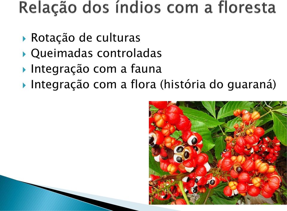 Integração com a fauna