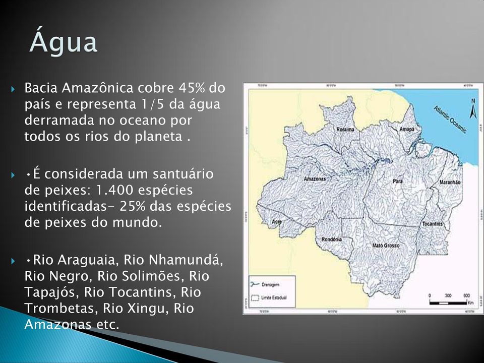 400 espécies identificadas- 25% das espécies de peixes do mundo.