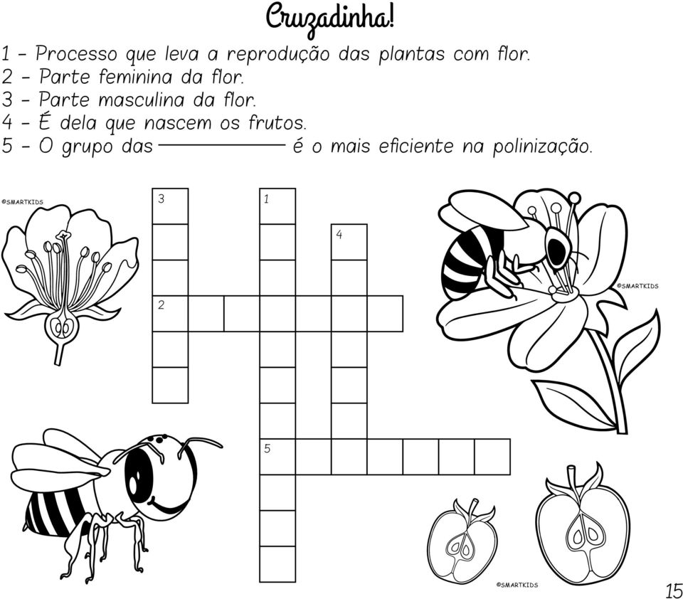 2 - Parte feminina da flor. 3 - Parte masculina da flor.