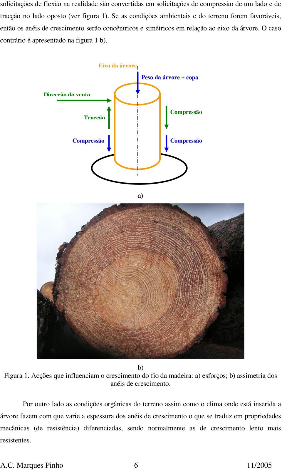 Eixo da árvore Peso da árvore + copa Direcção do vento Compressão Tracção Compressão Compressão a) b) Figura 1.