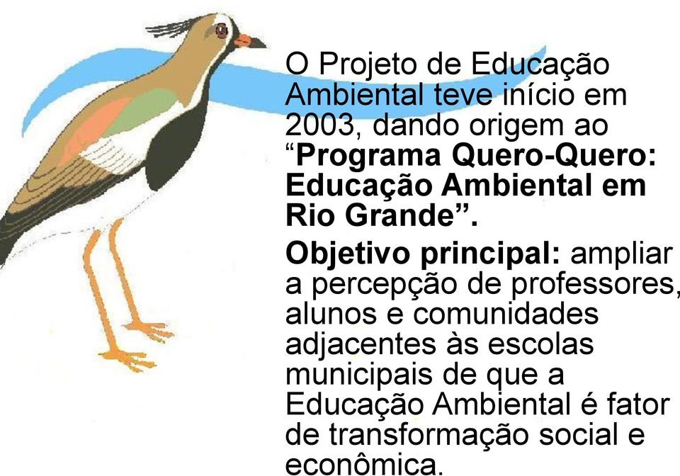 Objetivo principal: ampliar a percepção de professores, alunos e comunidades