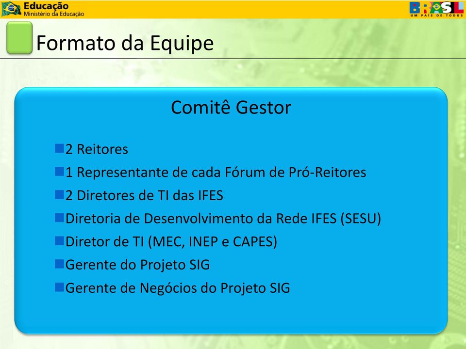 de Desenvolvimento da Rede IFES (SESU) Diretor de TI (MEC, INEP