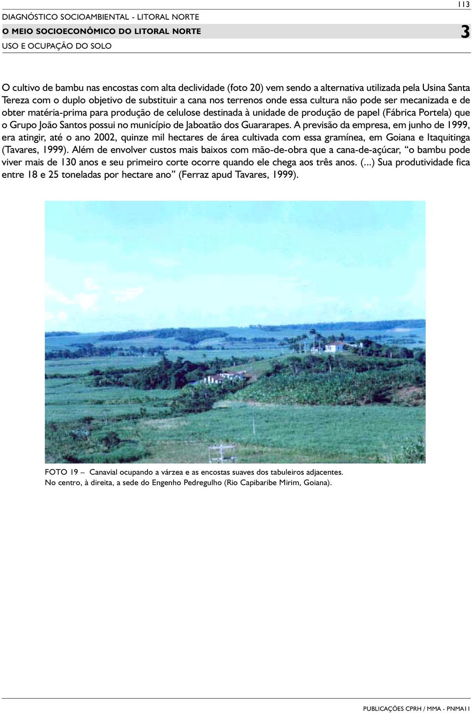 Guararapes. A previsão da empresa, em junho de 1999, era atingir, até o ano 2002, quinze mil hectares de área cultivada com essa gramínea, em Goiana e Itaquitinga (Tavares, 1999).