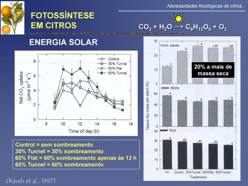 30% Tunnel = 30% sombreamento 60% Flat = 60% sombreamento