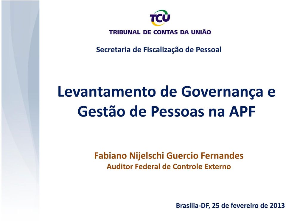 APF Fabiano Nijelschi Guercio Fernandes Auditor