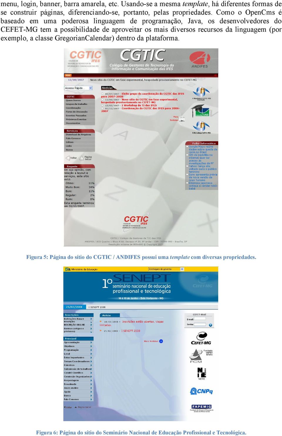 Como o OpenCms é baseado em uma poderosa linguagem de programação, Java, os desenvolvedores do CEFET-MG tem a possibilidade de aproveitar os mais