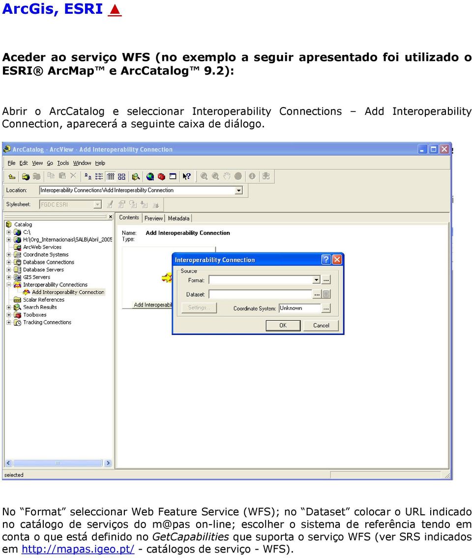 No Format seleccionar Web Feature Service (WFS); no Dataset colocar o URL indicado no catálogo de serviços do m@pas on-line; escolher o