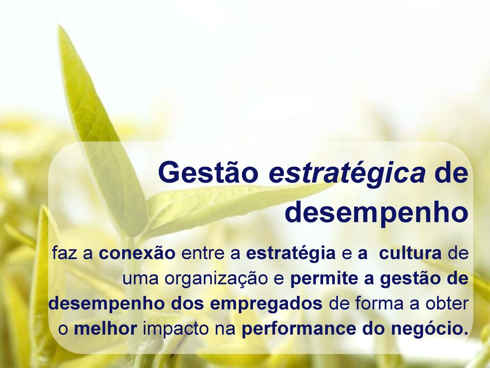 de desempenho dos empregados de forma a obter o melhor