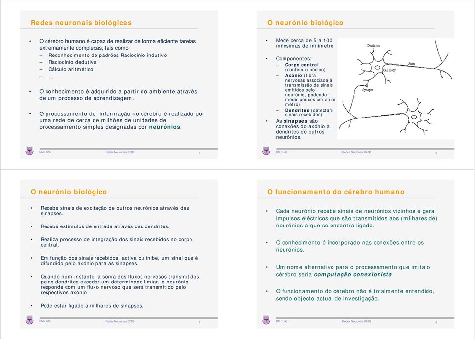 O processamento de informação no cérebro é realizado por uma rede de cerca de milhões de unidades de processamento simples designadas por neurónios.