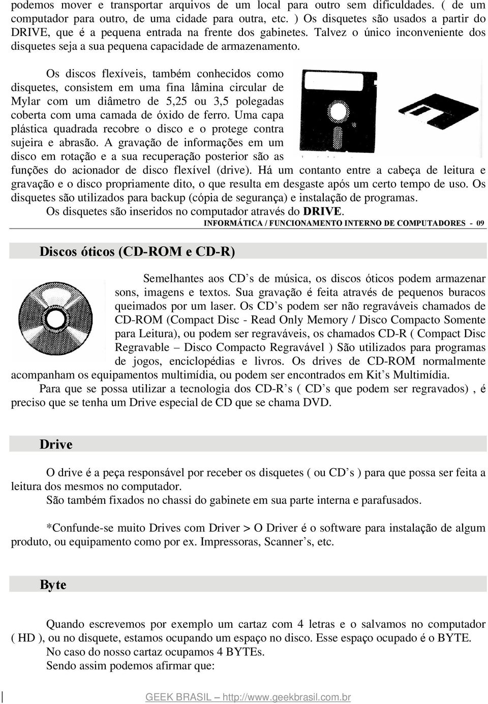 Os discos flexíveis, também conhecidos como disquetes, consistem em uma fina lâmina circular de Mylar com um diâmetro de 5,25 ou 3,5 polegadas coberta com uma camada de óxido de ferro.