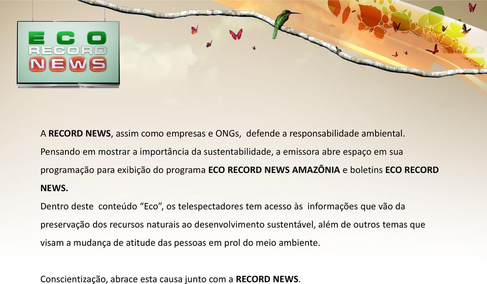 AMAZÔNIA e boletins ECO RECORD NEWS.