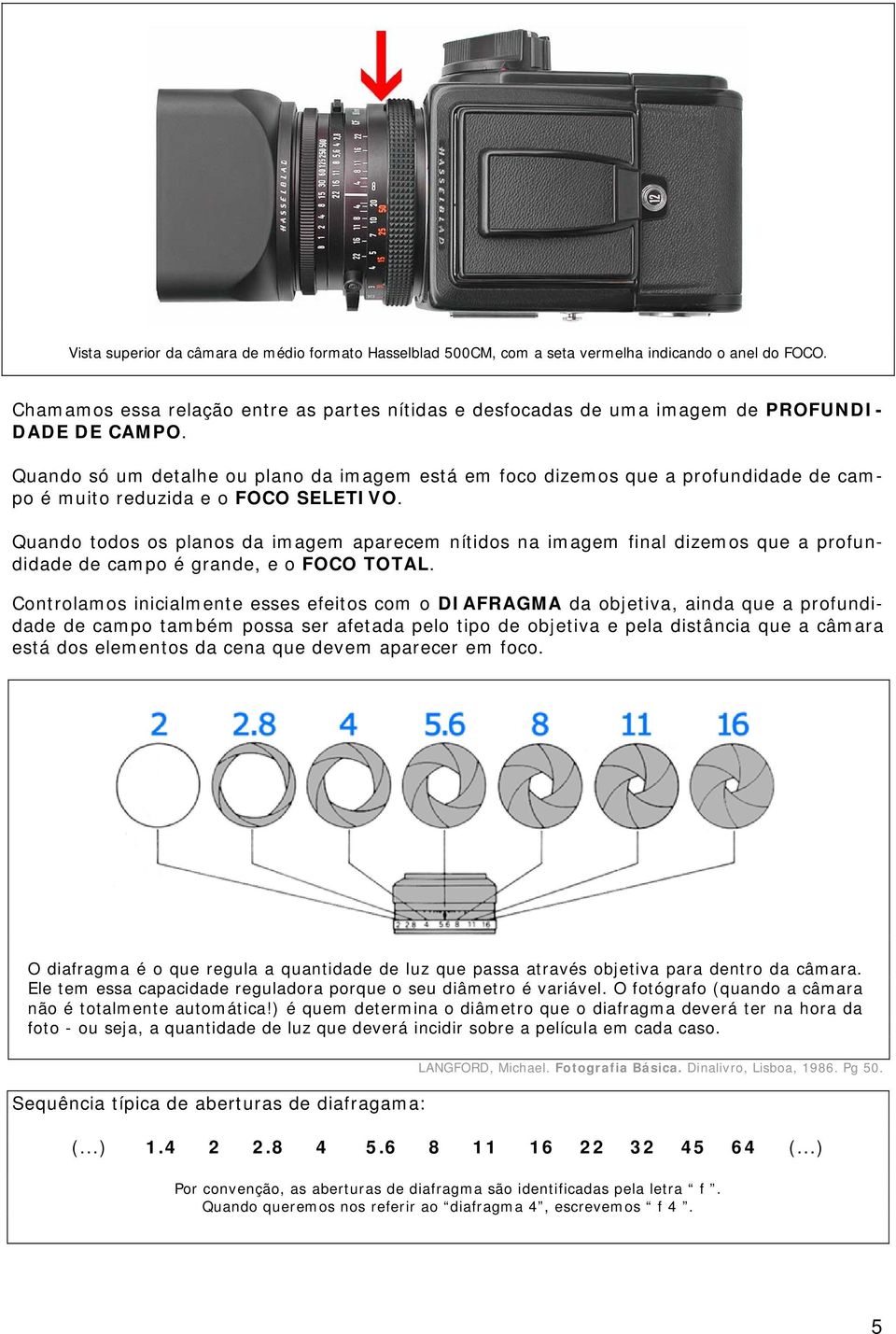 Quando só um detalhe ou plano da imagem está em foco dizemos que a profundidade de campo é muito reduzida e o FOCO SELETIVO.