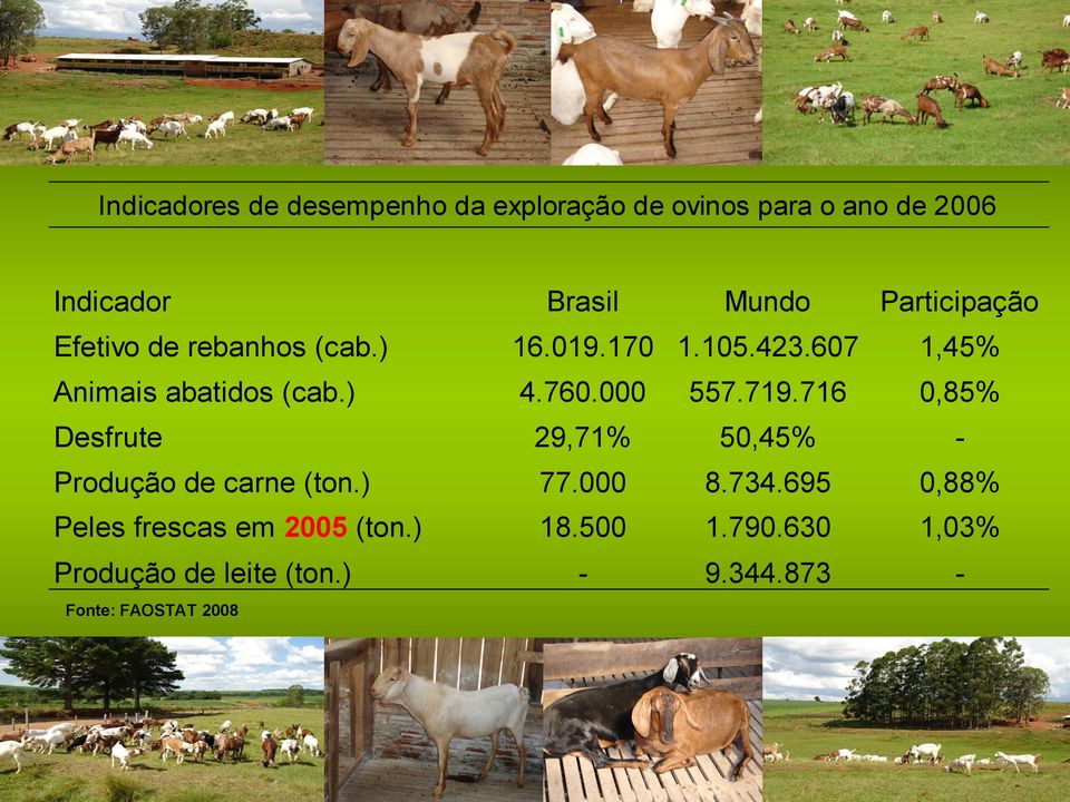 760.000 557.719.716 0,85% Desfrute 29,71% 50,45% - Produção de carne (ton.) 77.000 8.734.