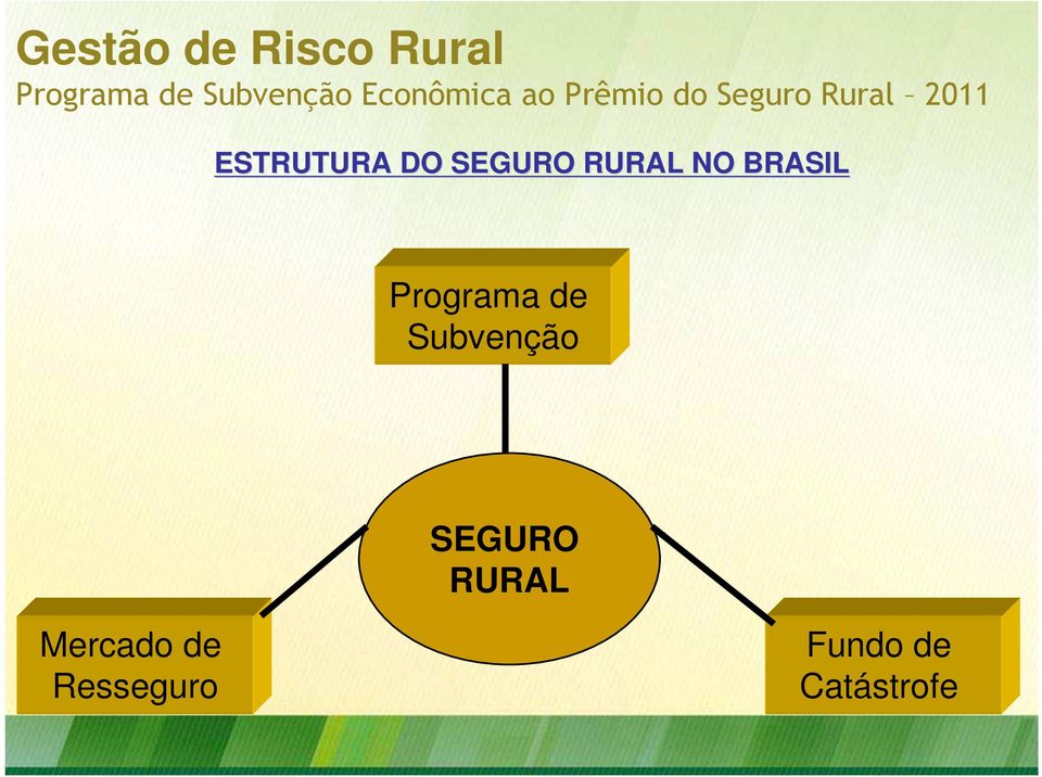 ESTRUTURA DO SEGURO RURAL NO BRASIL Programa de