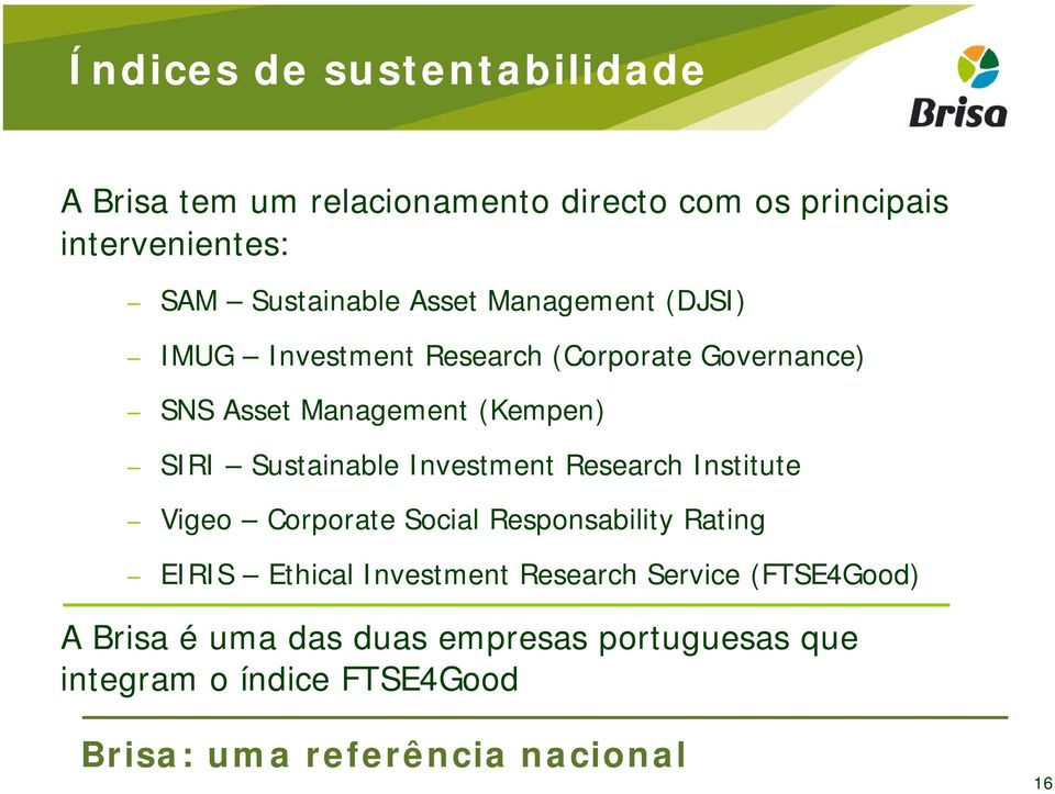 Sustainable Investment Research Institute Vigeo Corporate Social Responsability Rating EIRIS Ethical Investment Research