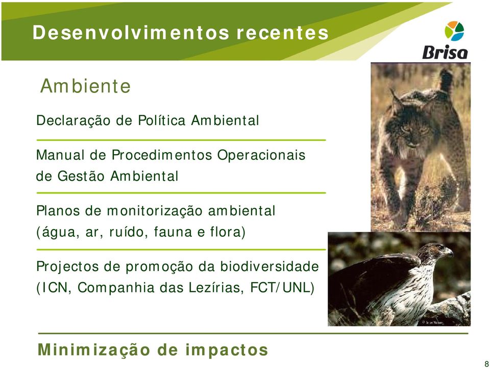 monitorização ambiental (água, ar, ruído, fauna e flora) Projectos de