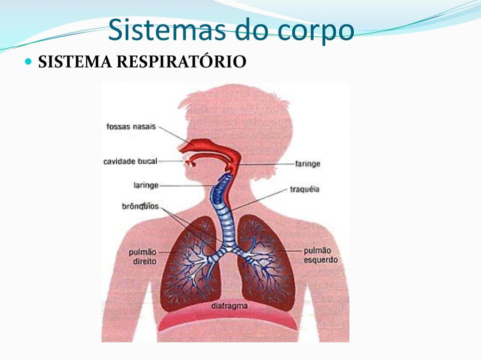 SISTEMA