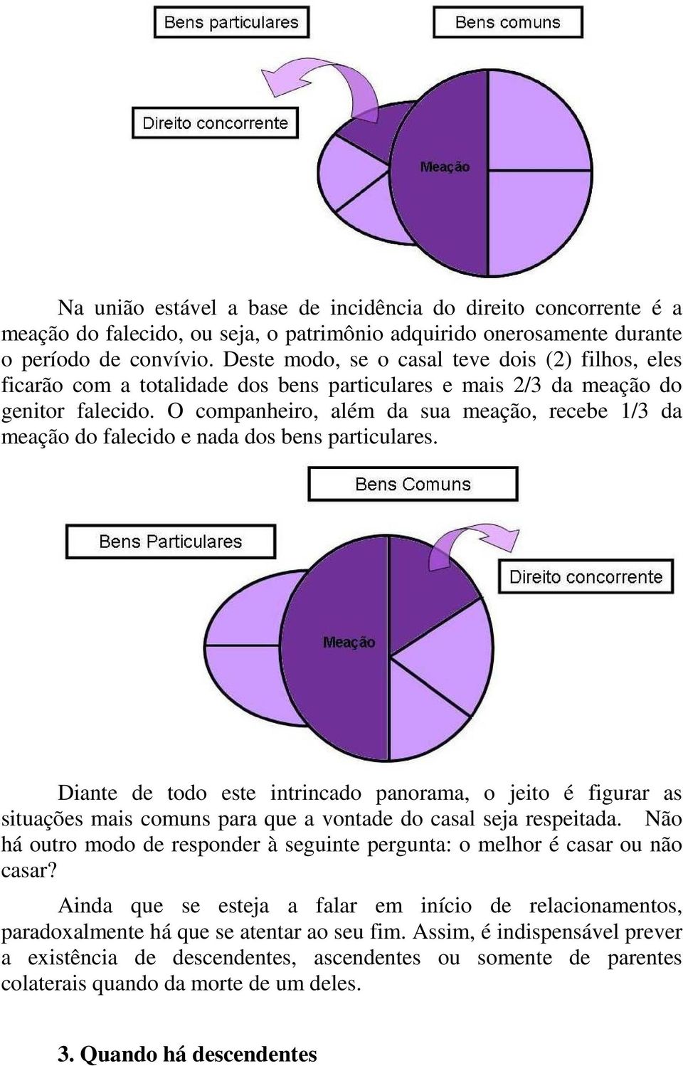 O companheiro, além da sua meação, recebe 1/3 da meação do falecido e nada dos bens particulares.