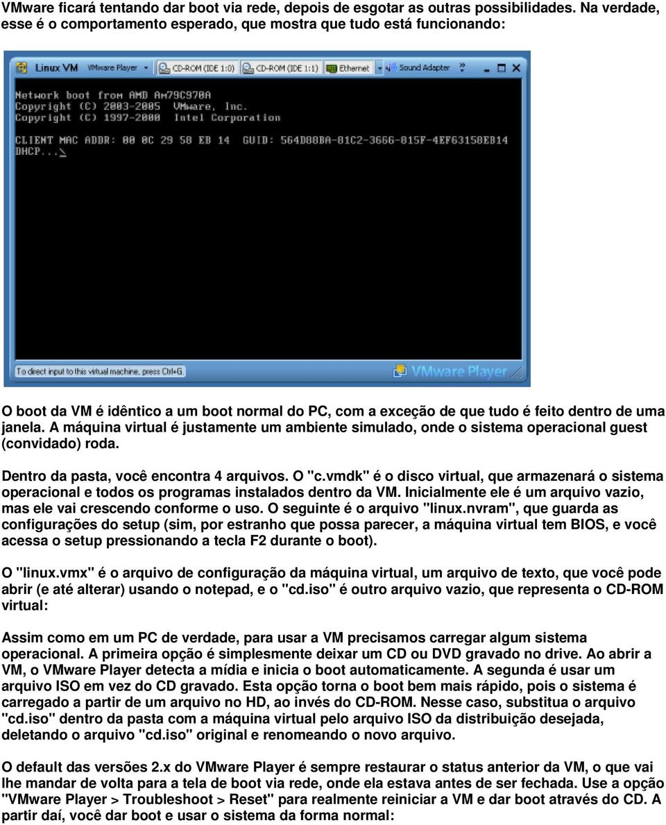 A máquina virtual é justamente um ambiente simulado, onde o sistema operacional guest (convidado) roda. Dentro da pasta, você encontra 4 arquivos. O "c.
