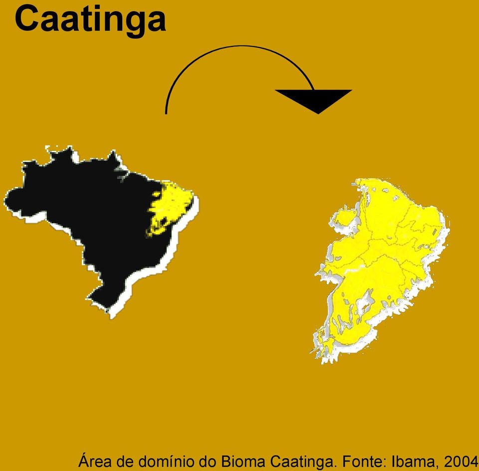 Bioma Caatinga.