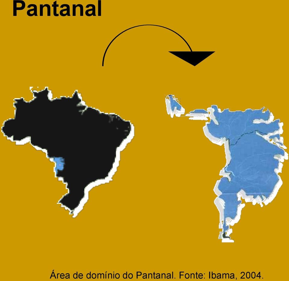 Pantanal.