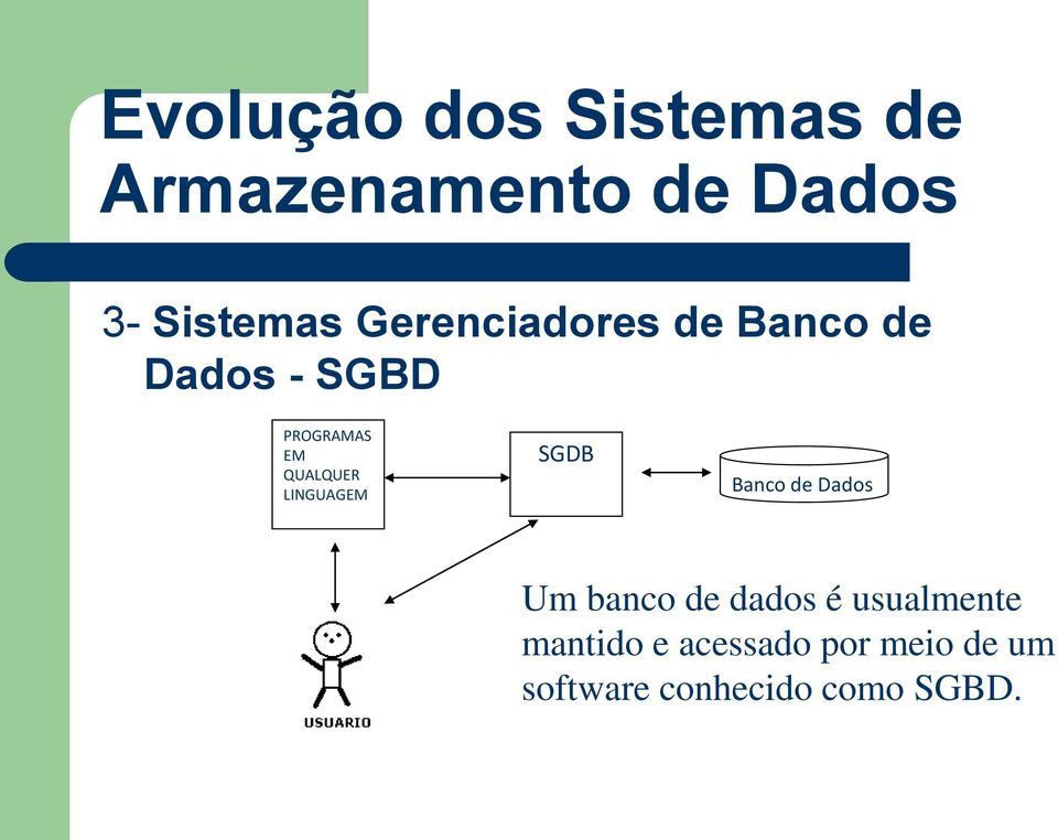 LINGUAGEM SGDB Banco de Dados Um banco de dados é usualmente