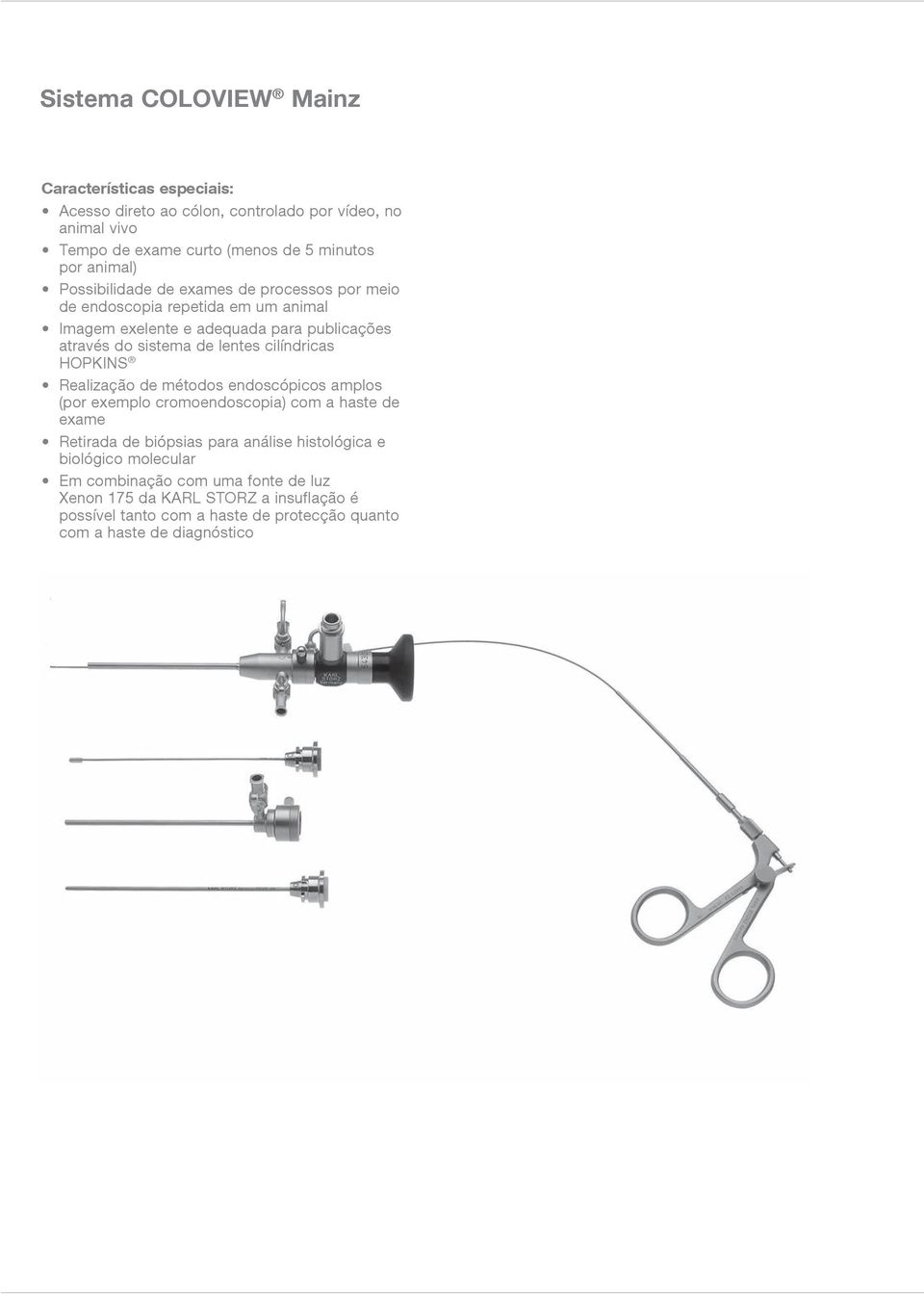 lentes cilíndricas HOPKINS Realização de métodos endoscópicos amplos (por exemplo cromoendoscopia) com a haste de exame Retirada de biópsias para análise