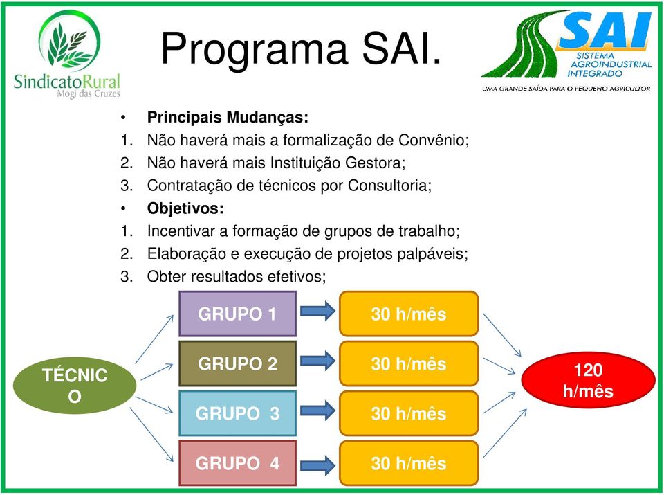 Incentivar a formação de grupos de trabalho; 2. Elaboração e execução de projetos palpáveis; 3.