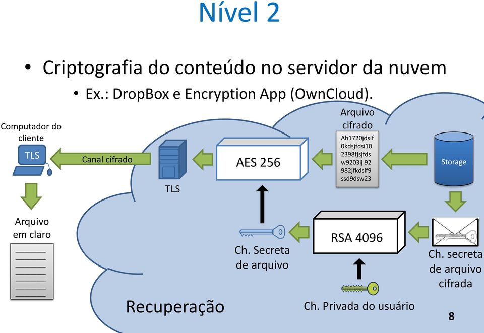 Canal cifrado TLS AES 256 Arquivo cifrado Ah1720jdsif 0kdsjfdsi10 2398fjsjfds w9203ij 92