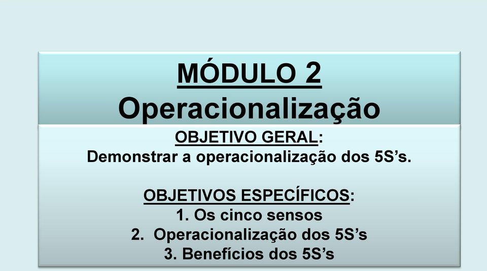 OBJETIVOS ESPECÍFICOS: 1. Os cinco sensos 2.