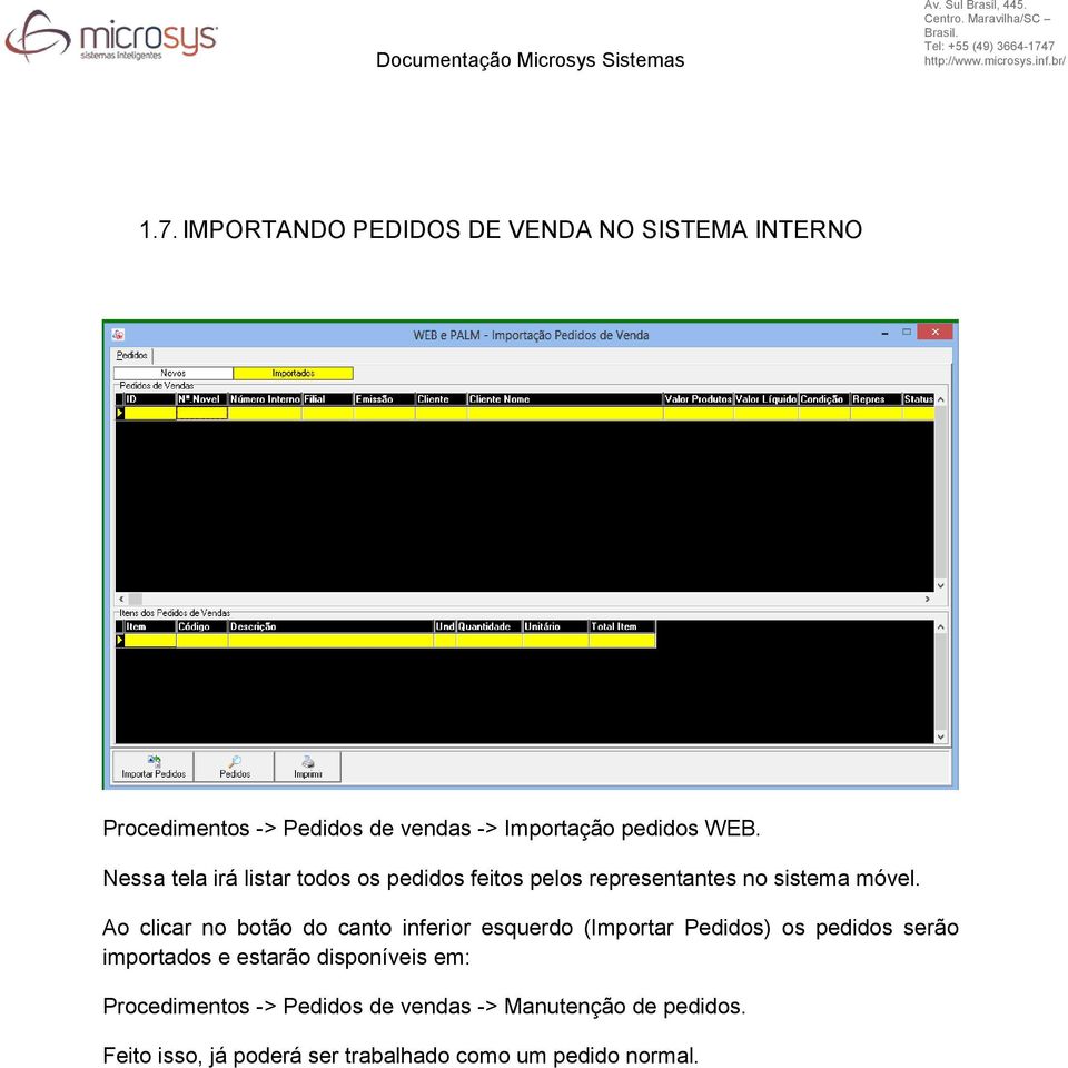 Ao clicar no botão do canto inferior esquerdo (Importar Pedidos) os pedidos serão importados e estarão