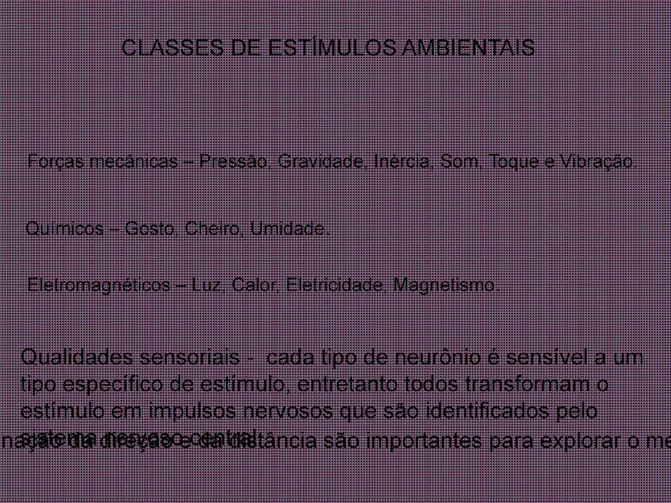 Qualidades sensoriais - cada tipo de neurônio é sensível a um tipo específico de estímulo, entretanto todos