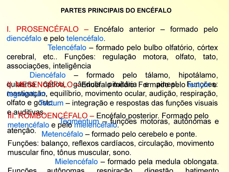 pelo Funções: tectum e mastigação, tegmentum. equilíbrio, movimento ocular, audição, respiração, olfato e gosto. Tectum integração e respostas das funções visuais e III. auditivas.