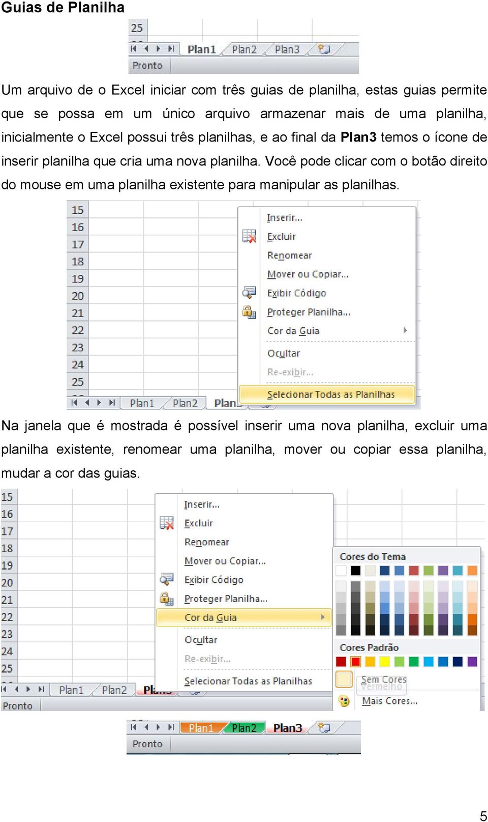 planilha. Você pode clicar com o botão direito do mouse em uma planilha existente para manipular as planilhas.