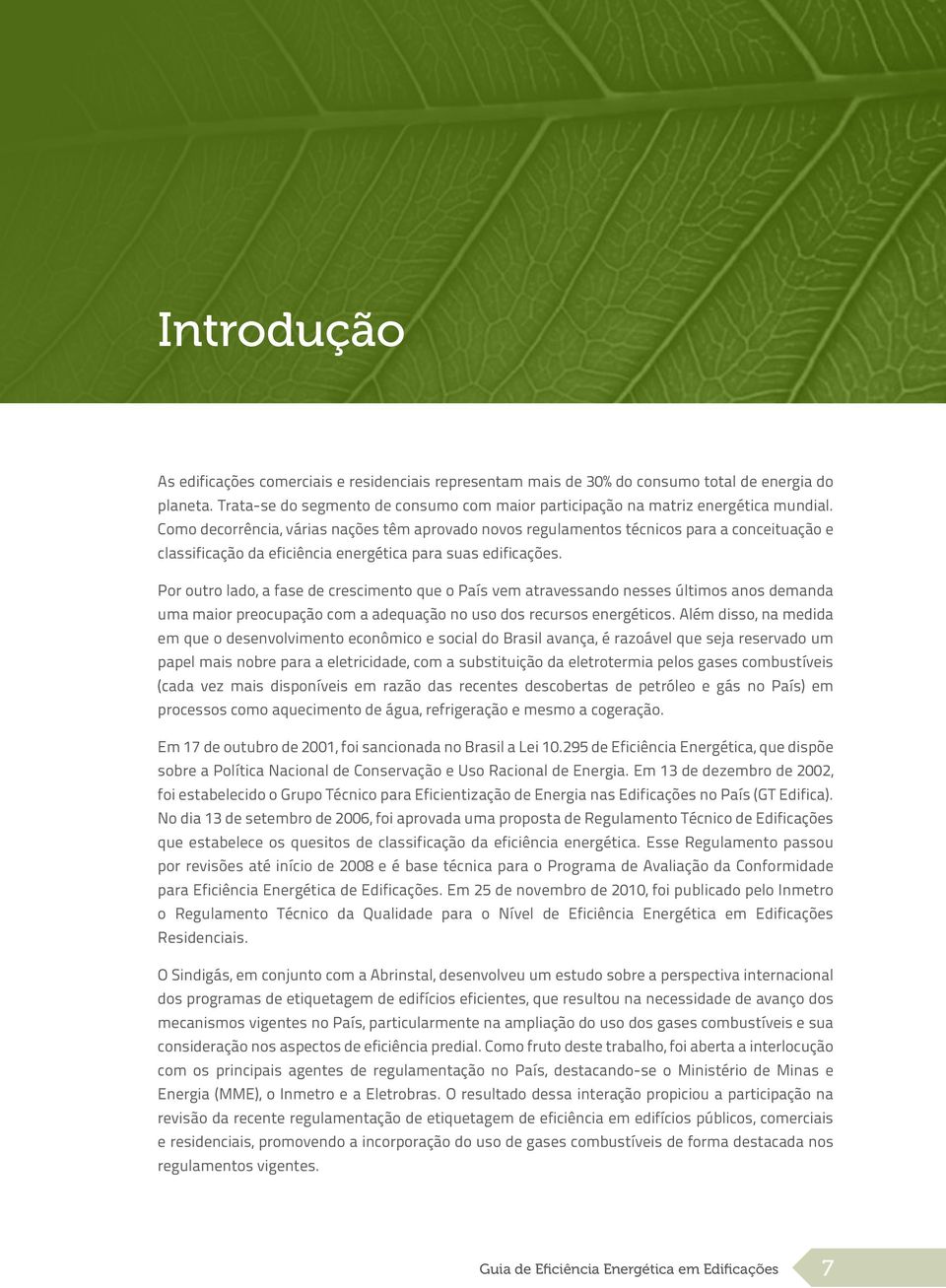 Por outro lado, a fase de crescimento que o País vem atravessando nesses últimos anos demanda uma maior preocupação com a adequação no uso dos recursos energéticos.