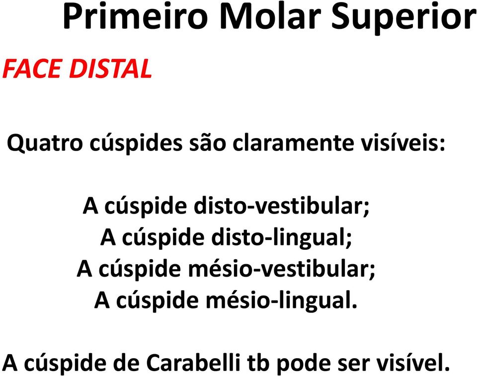 disto-lingual; A cúspide mésio-vestibular; A