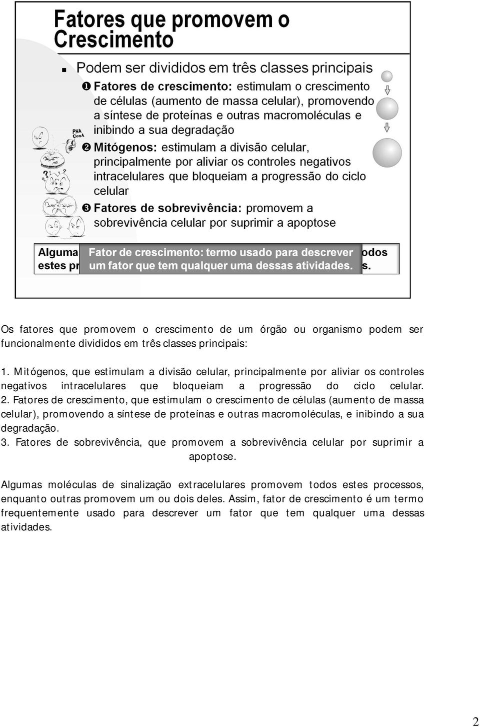 Fatores de crescimento, que estimulam o crescimento de células (aumento de massa celular), promovendo a síntese de proteínas e outras macromoléculas, e inibindo a sua degradação. 3.