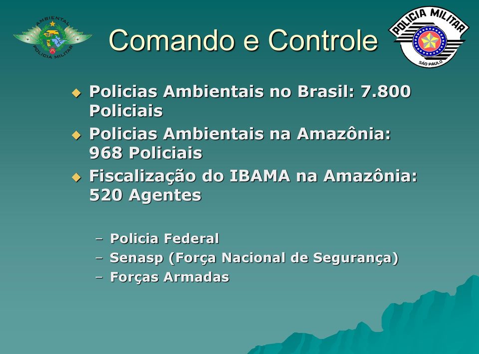 Policiais Fiscalização do IBAMA na Amazônia: 520 Agentes