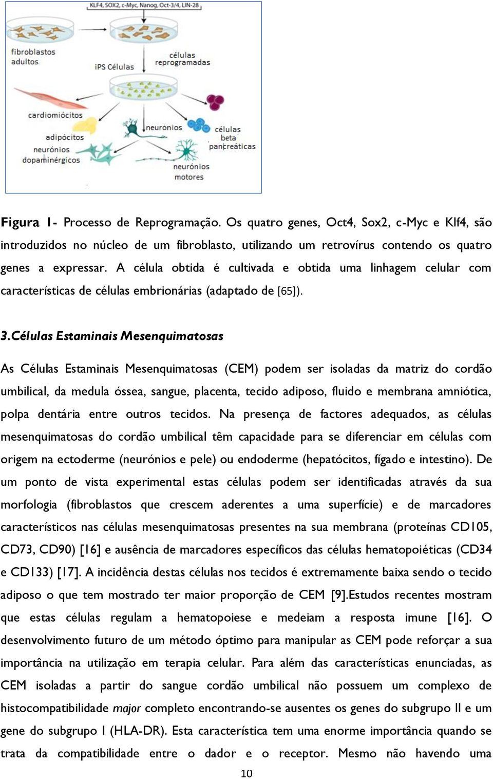 Células Estaminais Mesenquimatosas As Células Estaminais Mesenquimatosas (CEM) podem ser isoladas da matriz do cordão umbilical, da medula óssea, sangue, placenta, tecido adiposo, fluido e membrana