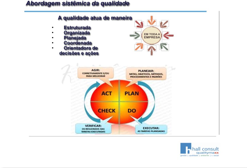 Estruturada Organizada Planejada