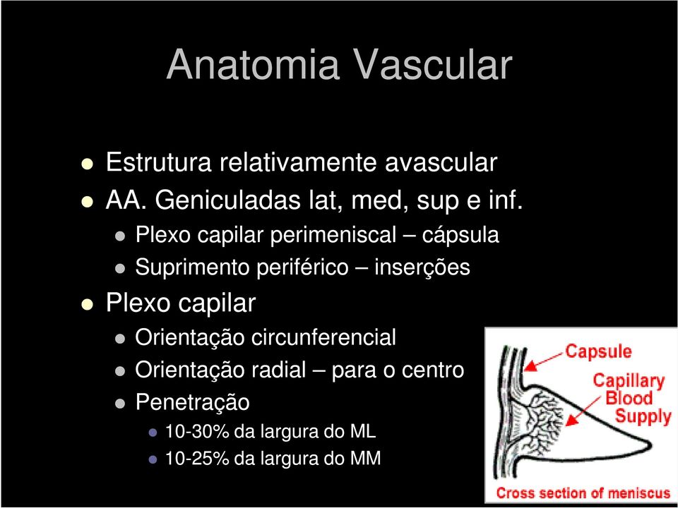 Plexo capilar perimeniscal cápsula Suprimento periférico inserções