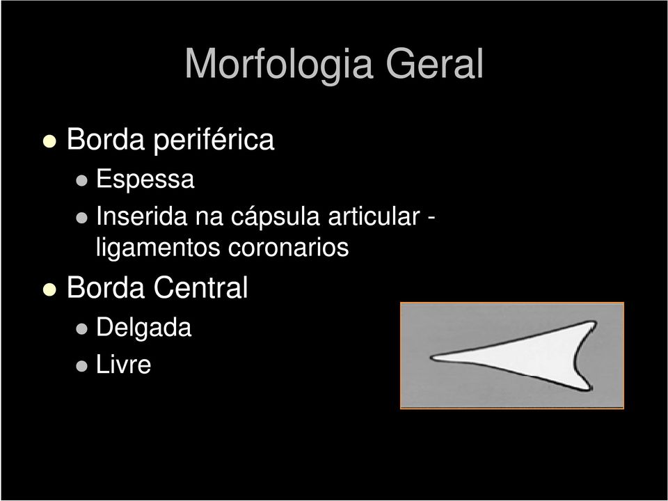 cápsula articular - ligamentos