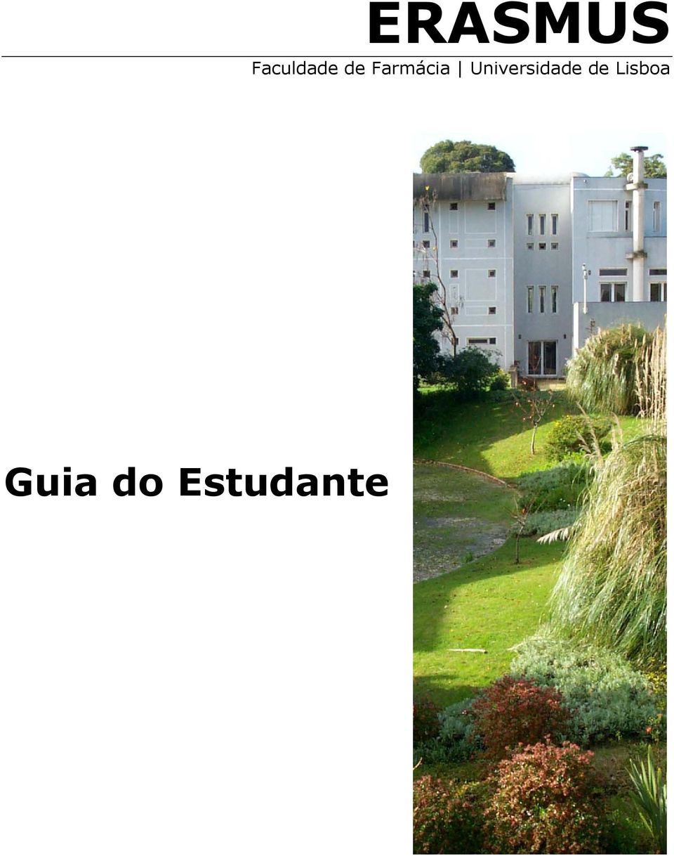 Universidade de