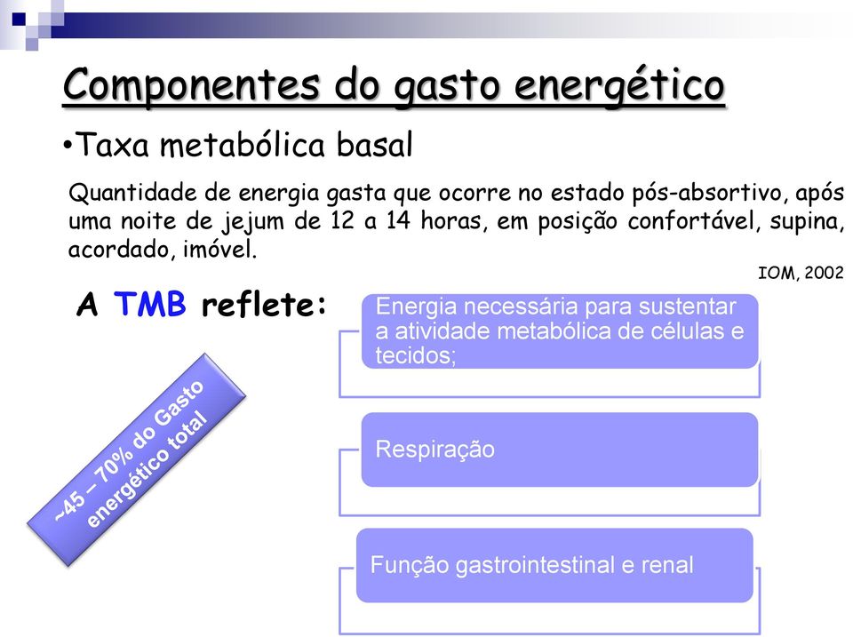 confortável, supina, acordado, imóvel.