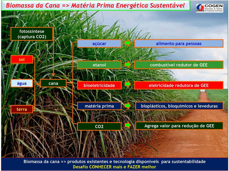 terra matéria prima bioplásticos, bioquímicos e leveduras CO2 Agrega valor para redução de GEE Biomassa
